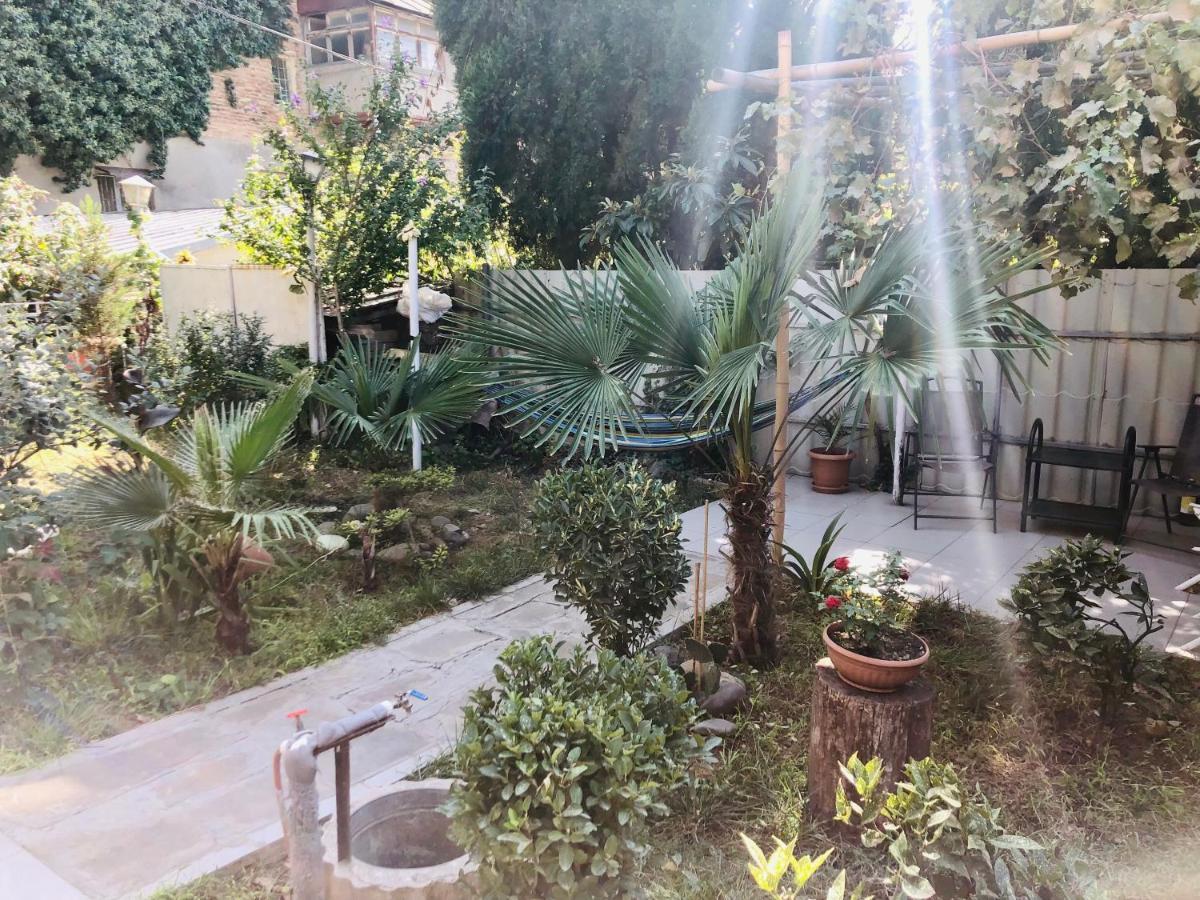 31 Toidze Tbilisi